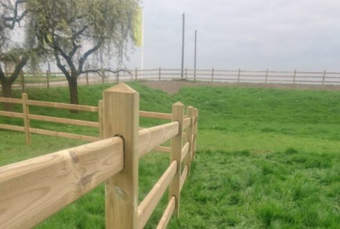 Opsommen Gezondheid nachtmerrie Paardenafrastering - Hupkes Hekwerk